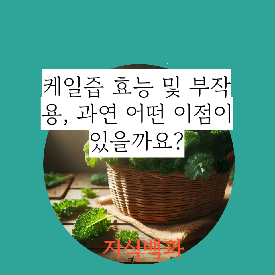 케일즙 효능 및 부작용, 과연 어떤 이점이 있을까요?