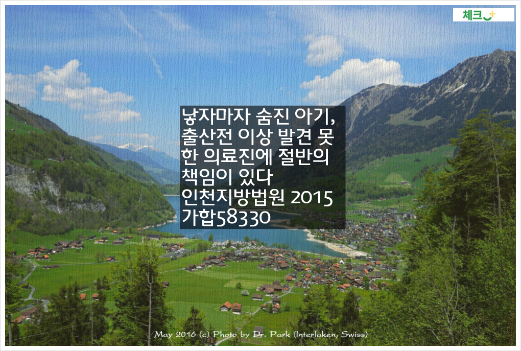 낳자마자 숨진 아기&#44; 출산전 이상 발견 못한 의료진에 절반의 책임이 있다