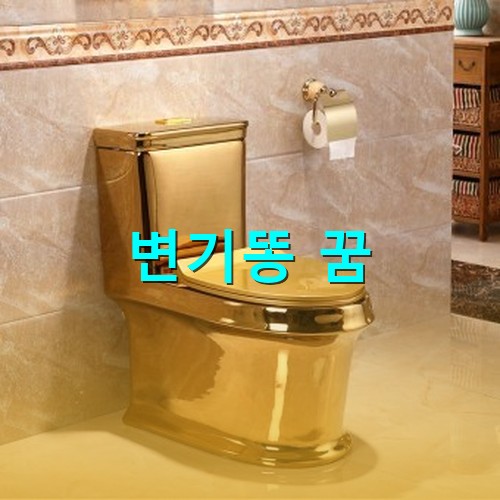 병원-화장실-변기가-헉-금색-변기네요