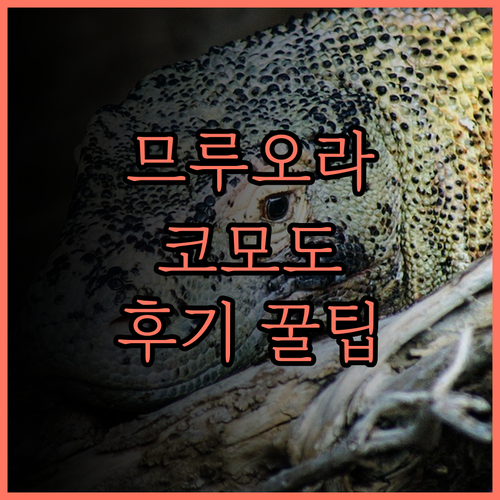 므루오라 코모도 라부안 바조, 최고의