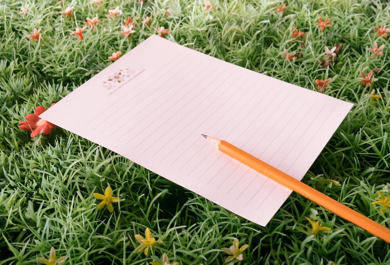 식물과의 아침 루틴 &ndash; 하루를 시작하는 방식