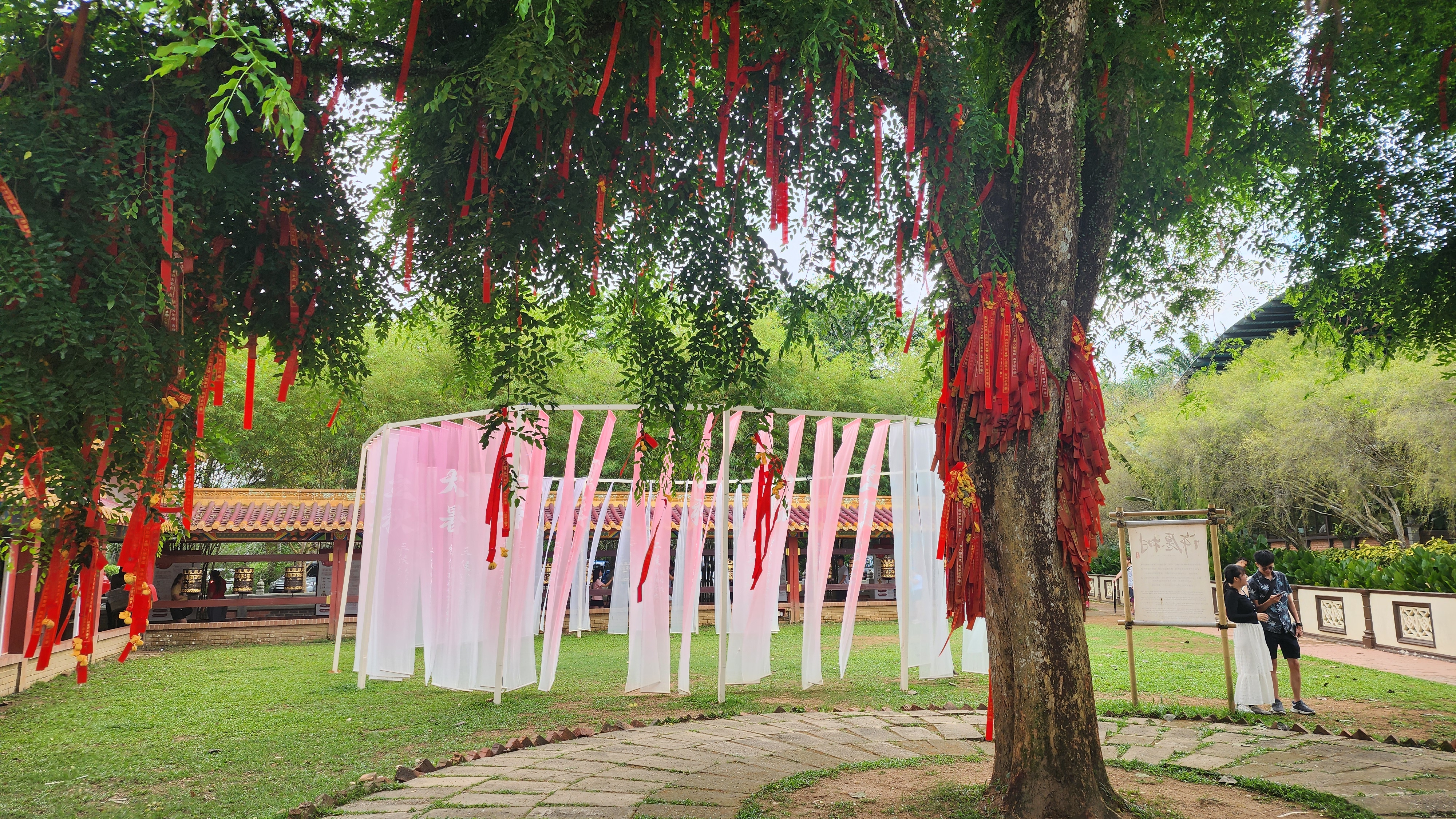 happy pray tree