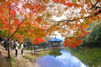 내장산 단풍터널 드라이브 코스 주차장 위치까지 총정리_20