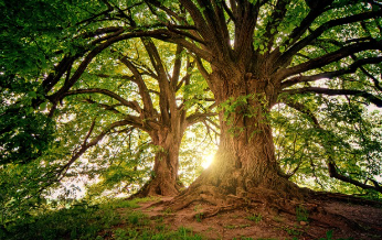 2025년 국민은행 부동산시세 확인 방법 12