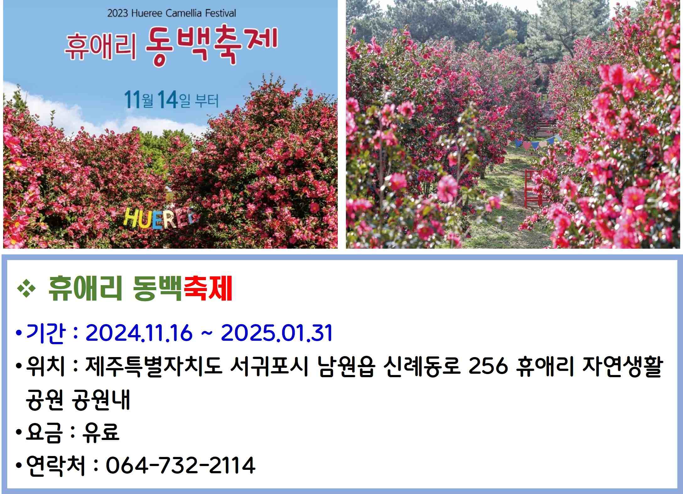 휴애리 동백축제