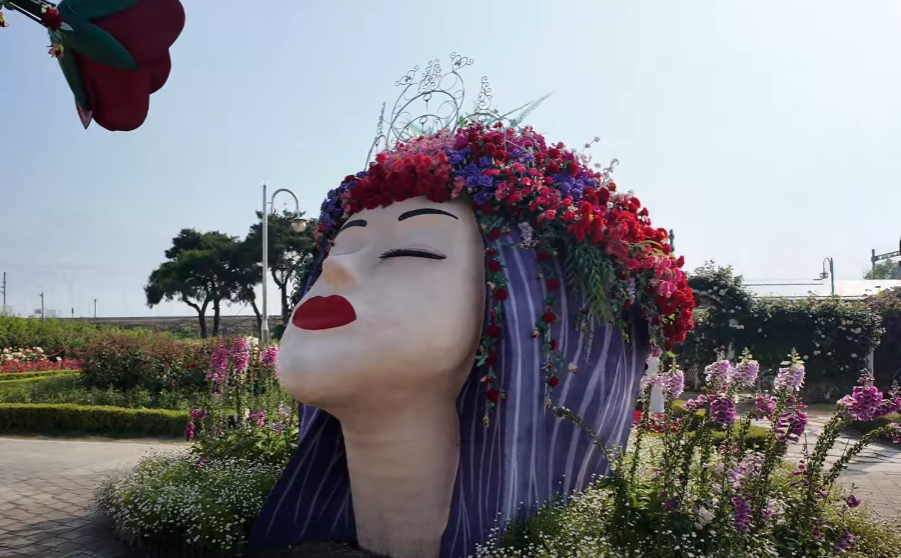 곡성장미축제 관련 사진 이미지