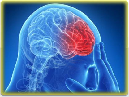 뇌도 운동을 꾸준히 해야한다.