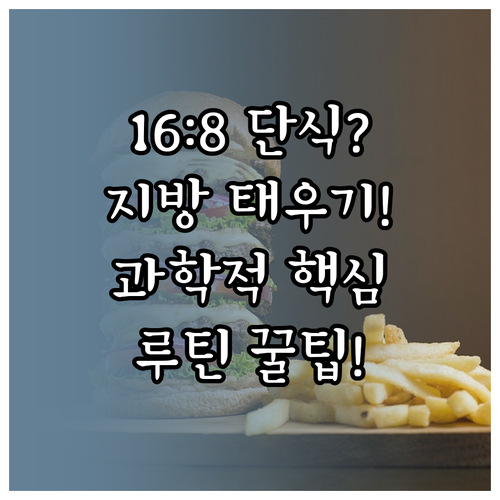16:8 단식 공복 16시간의 과학적..