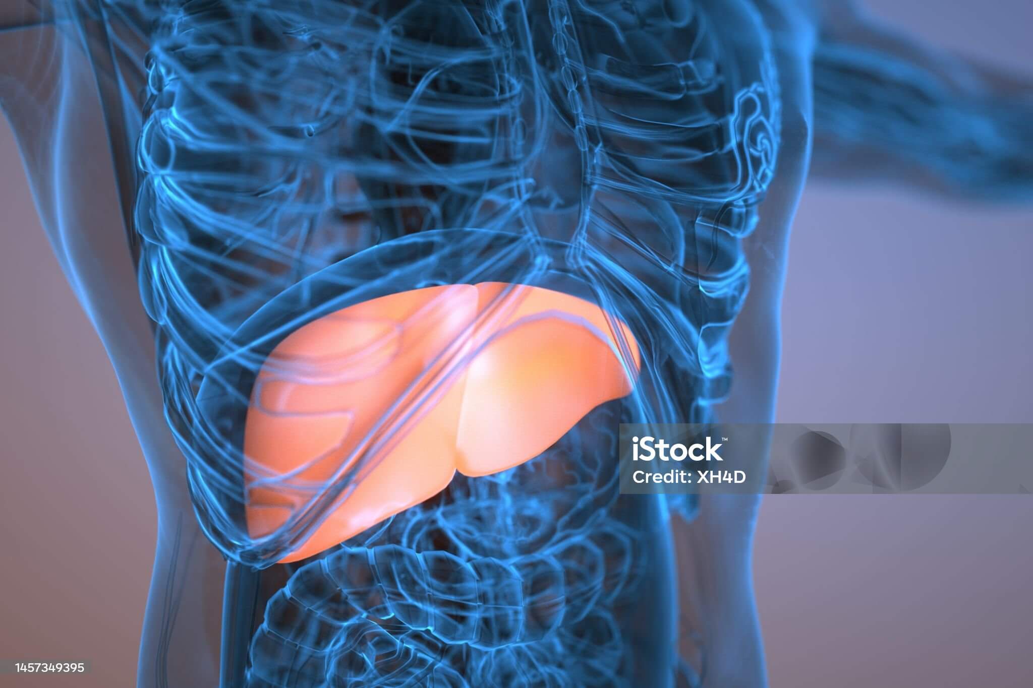 간수치높은 이유와간수치 정상범위