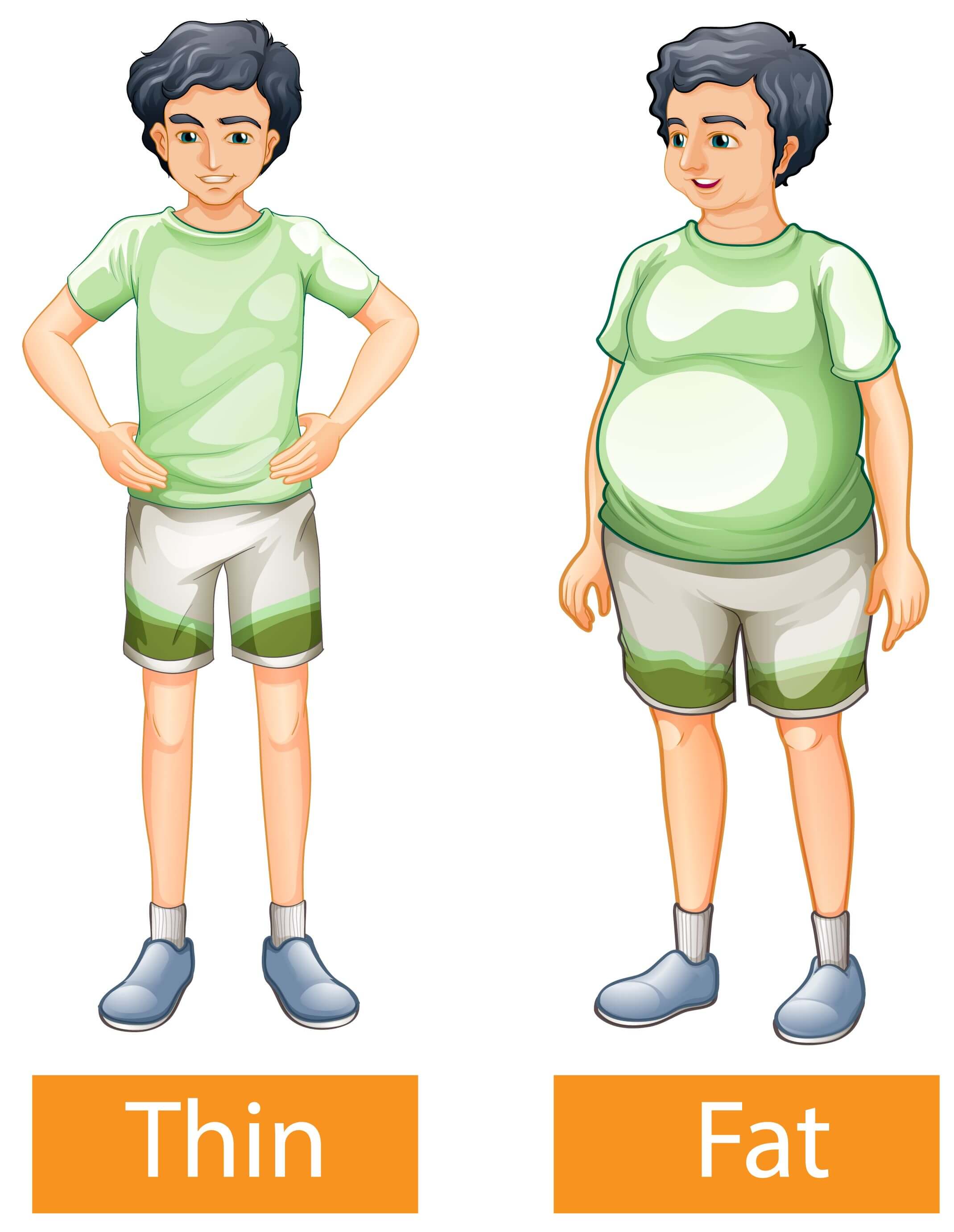 마른 체형인데도 내장지방 많은 사람을 위한 식단