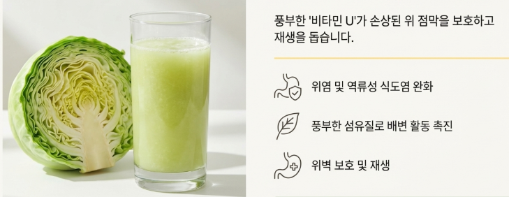 양배추는 공복에 가장 추천되는 '0순위' 음식