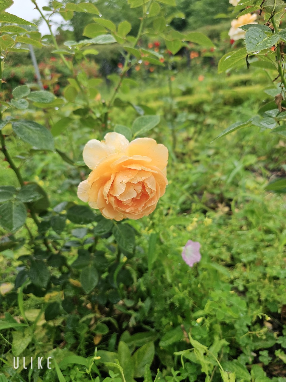 복지정책에 관심 있는 부모를 위한 가이드