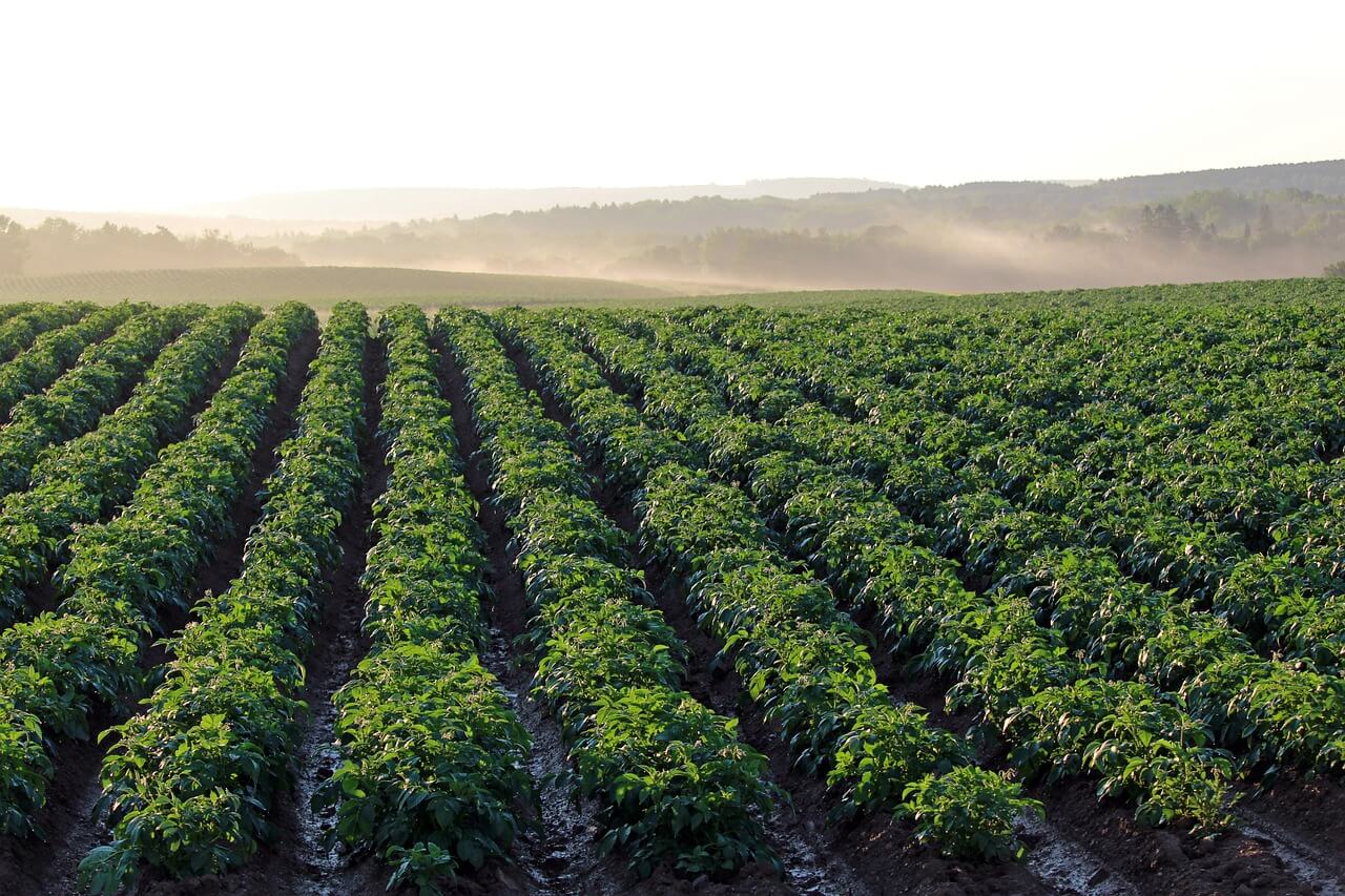 지드래곤 서울 앵콜 콘서트