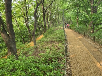 365 서울챌린지 1기 참여혜택·신청방법 총정리