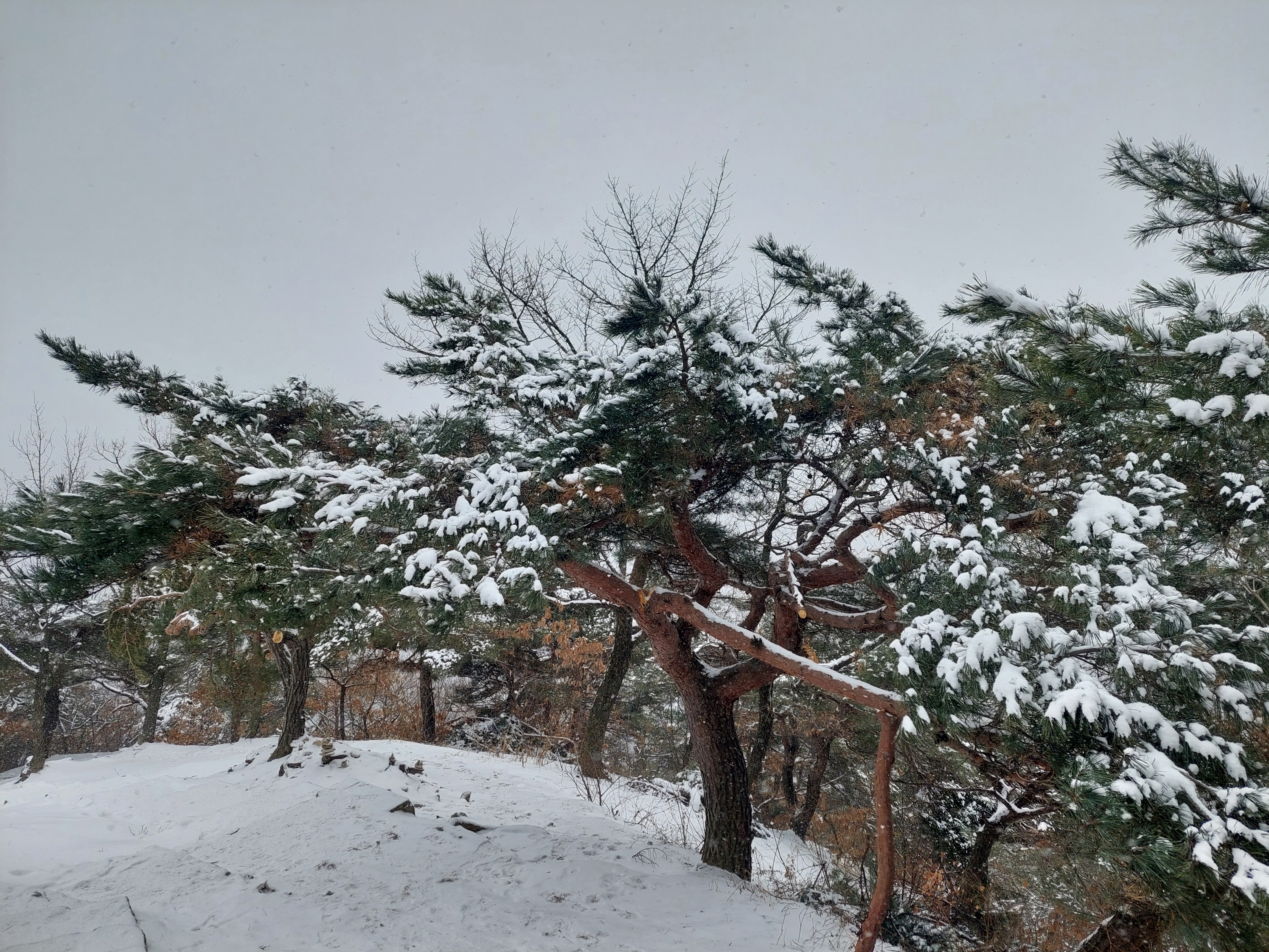 인왕산