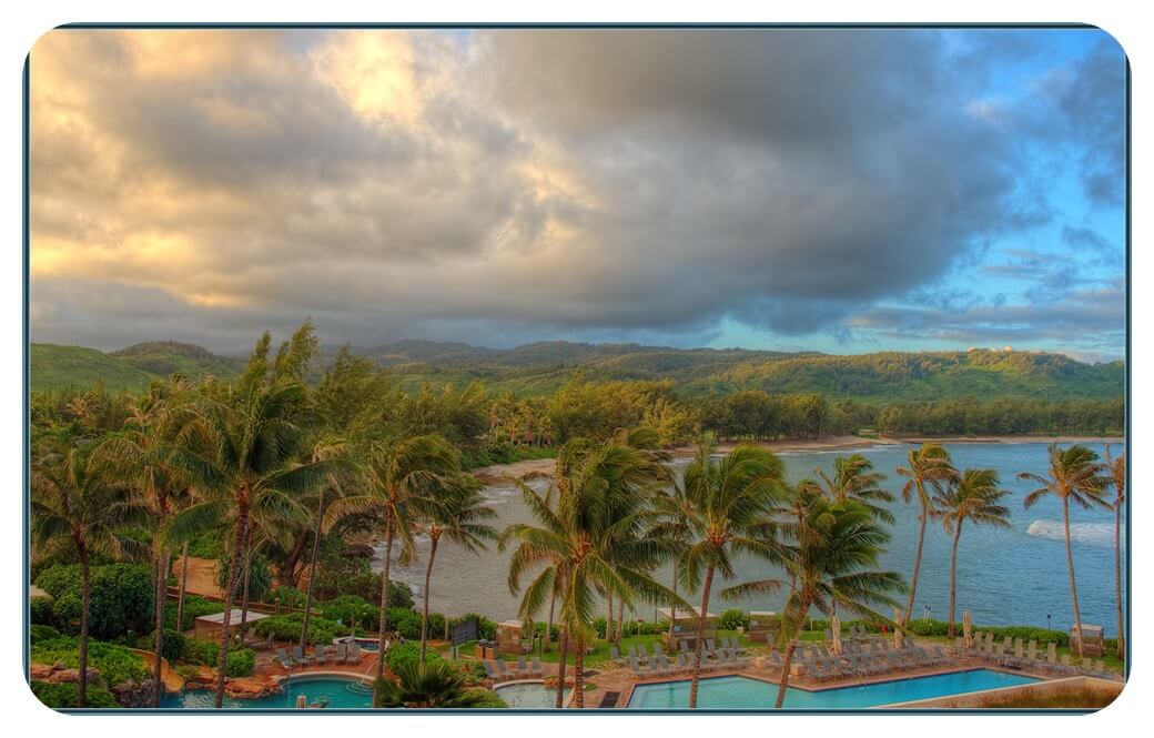 터틀-베이-리조트-야자수-아침-바다-풍경-사진