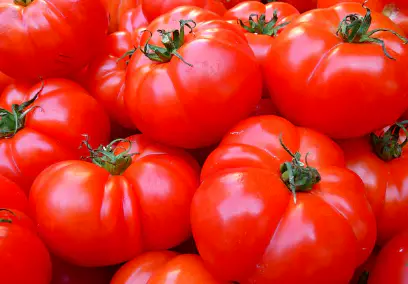 대상포진에-좋은-음식-대상포진-치료법-건강