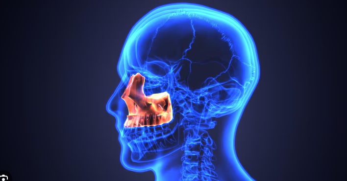 턱관절 관련 사진
