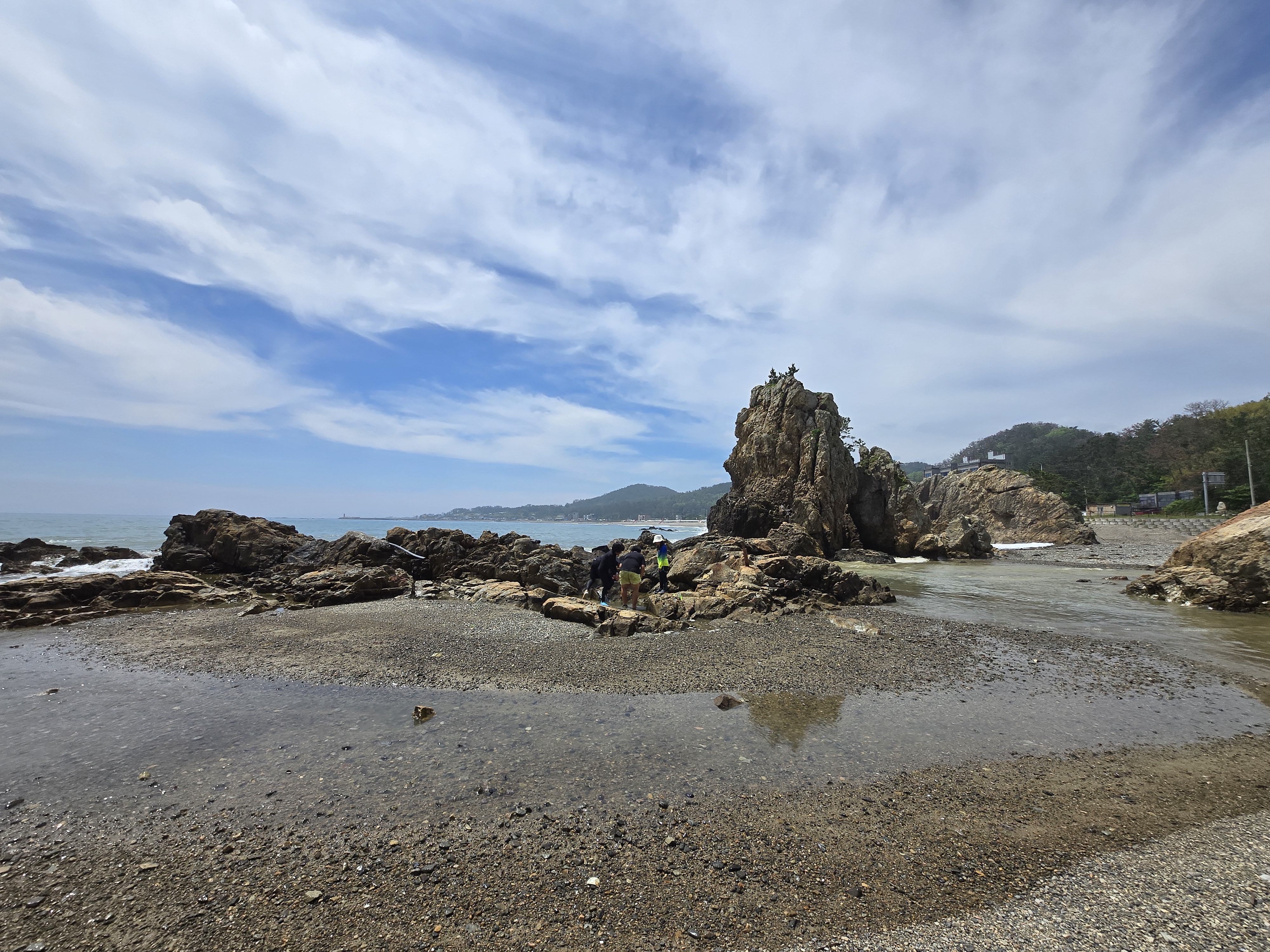 포항 신창간이해변 물고기