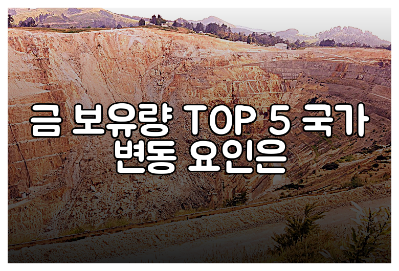 금 보유량 TOP 5 국가 변동 요인은