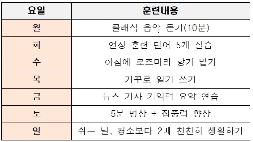 요일별 기억력 훈련 스케줄
