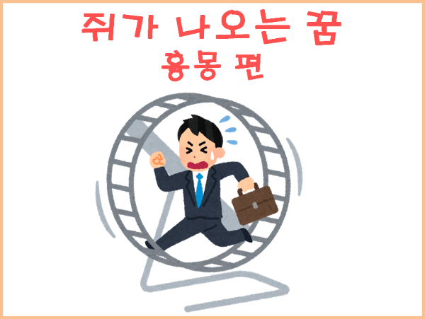 쥐 꿈 해몽 흉몽 편
