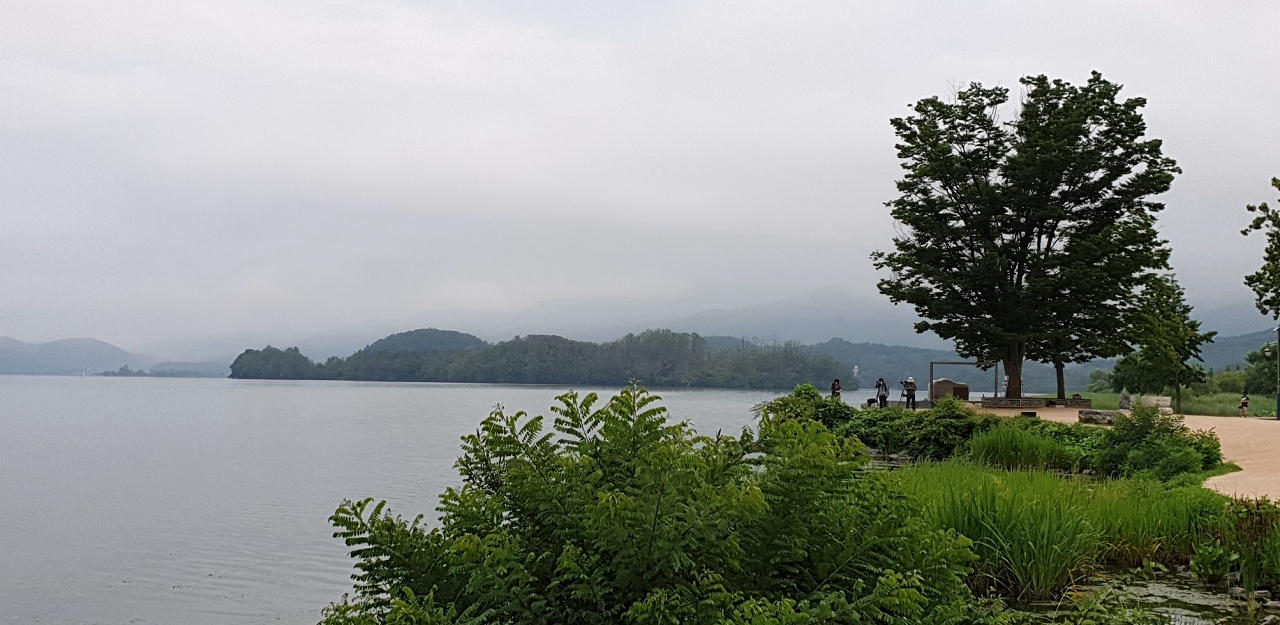 소원 나무와 액자