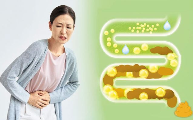 변비해결-방법-차전자피