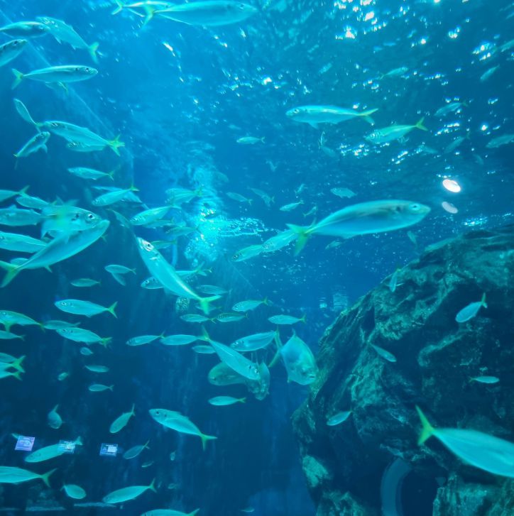 울진아쿠아리움