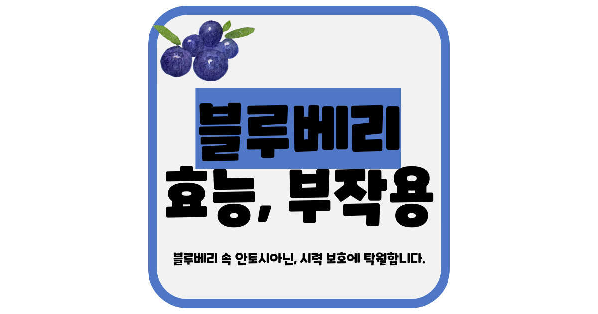 블루베리 효능 부작용