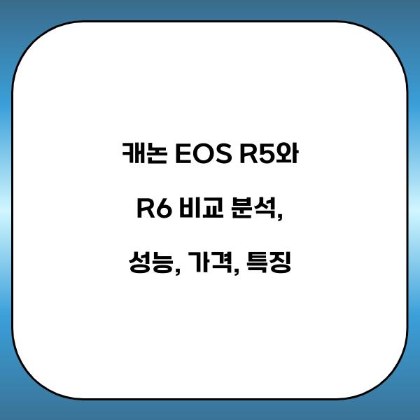 캐논 EOS R5와 R6 비교 분석