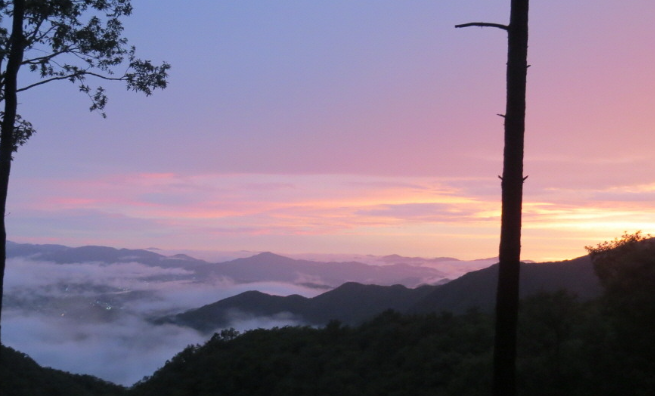 설매재자연휴양림