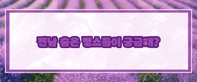 전남 가볼만한곳 베스트10 2025 (+핵심포인트)