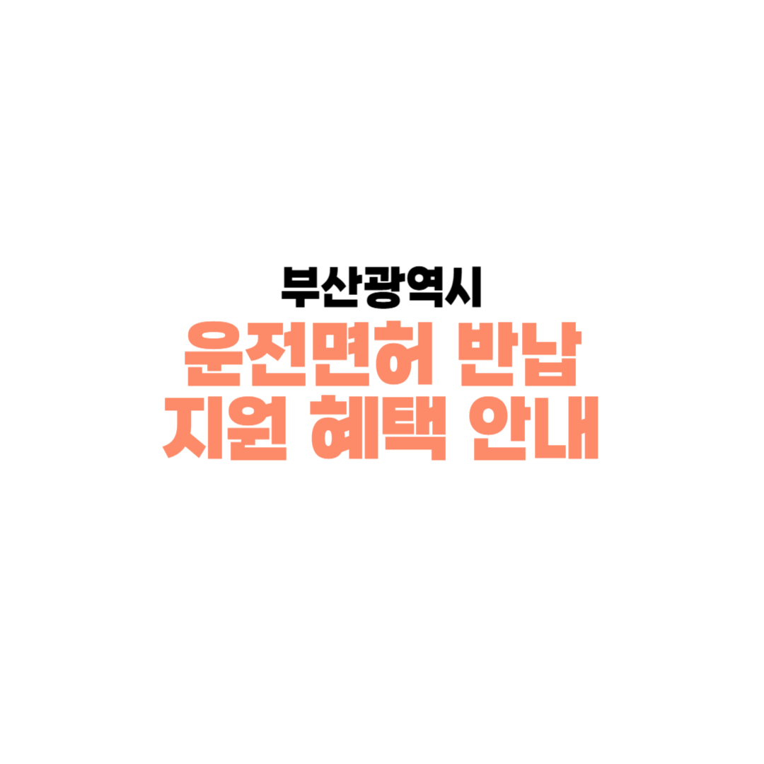 부산시 운전면허 반납 혜택 안내