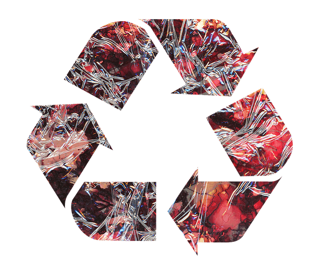 폐기물 수거 스타트업과 지역 사회적기업