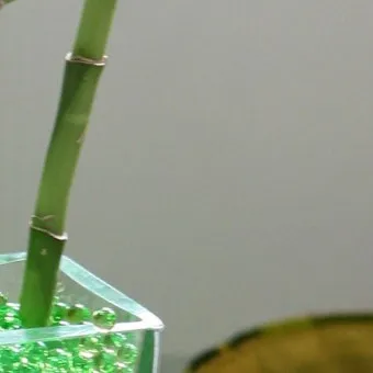 출국금지 여부 조회 법무부 출입국 관리 방법_18