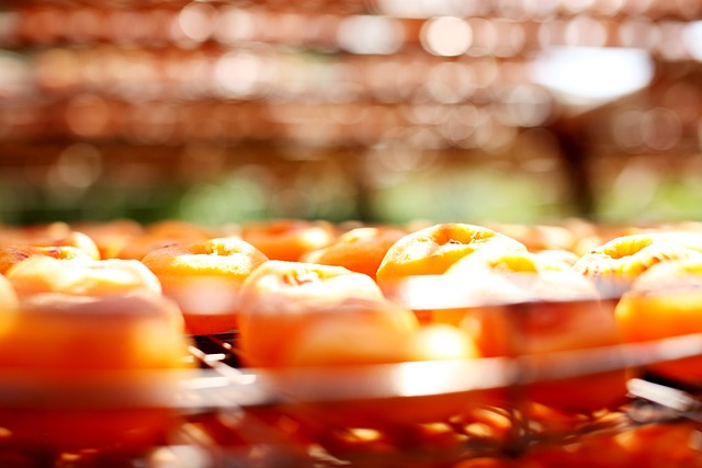 상주곶감축제 2025상주곶감축제