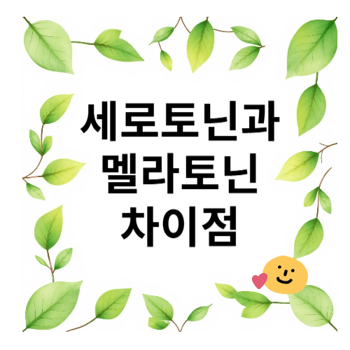 세로토닌과 멜라토닌 차이점