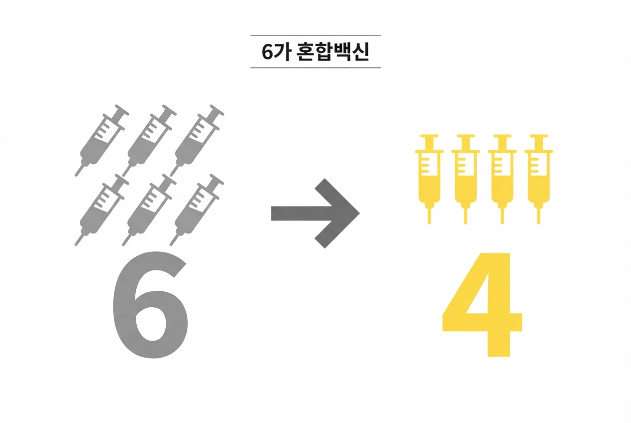 6가 혼합백신 도입으로 접종 횟수가 6회에서 4회로 줄어드는 것을 나타낸 인포그래픽
