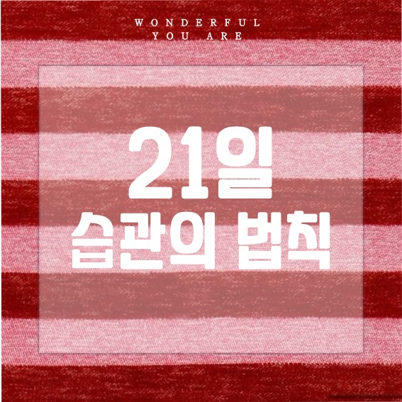 습관 21일 완벽 정리: 법칙, 형성 과정, 실천 방법까지