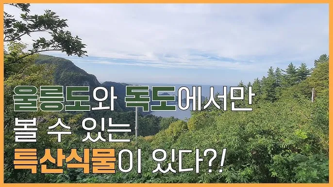 우리나라 특산식물 댕강나무와 댕강나무 꽃말 꽃댕강나무_3