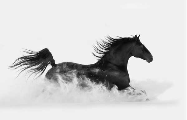 달리는 흑마