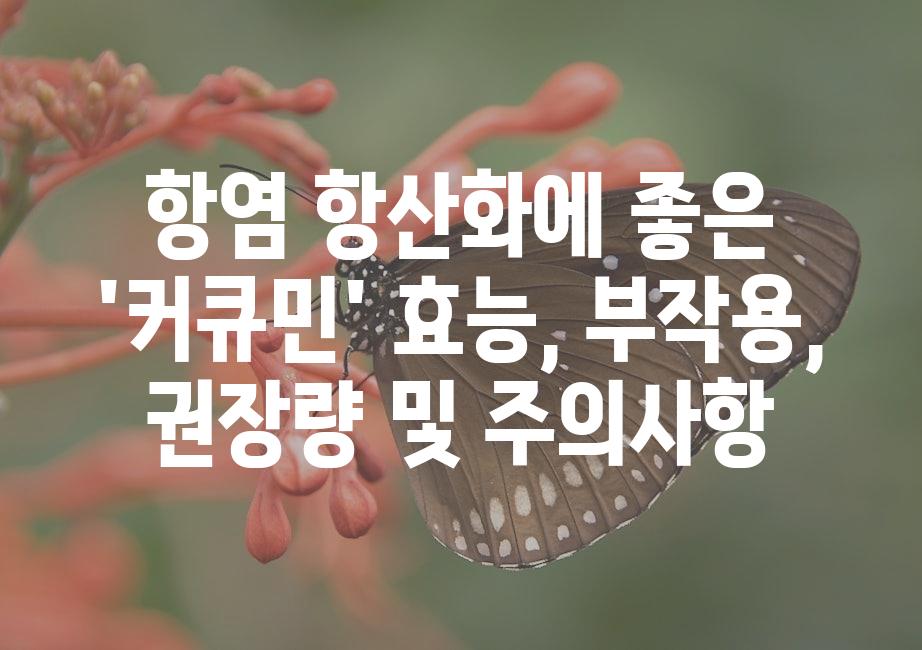 샘플 (51)