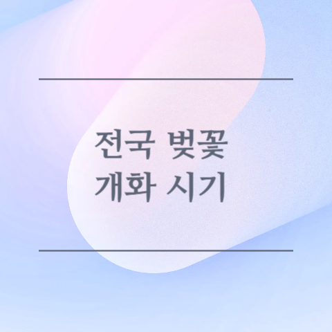 전국 벚꽃 개화 시기 이미지