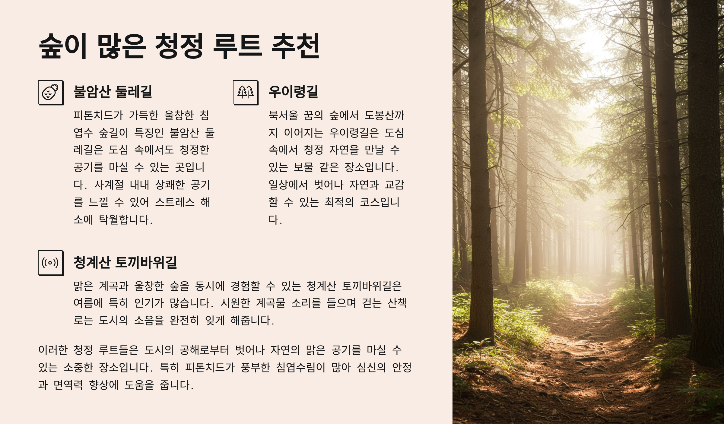 🌲 숲이 많은 청정 루트 추천