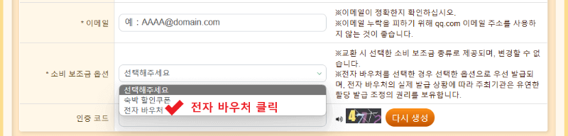소비 보조금 옵션 선택사항 이미지(대만 여행지원금 신청방법)