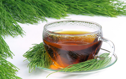 루이보스-효능-14가지-부작용-차-마시는-방법