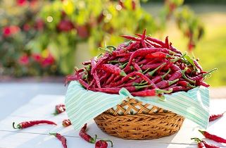 고추가루 보관법 고춧가루 유통기한