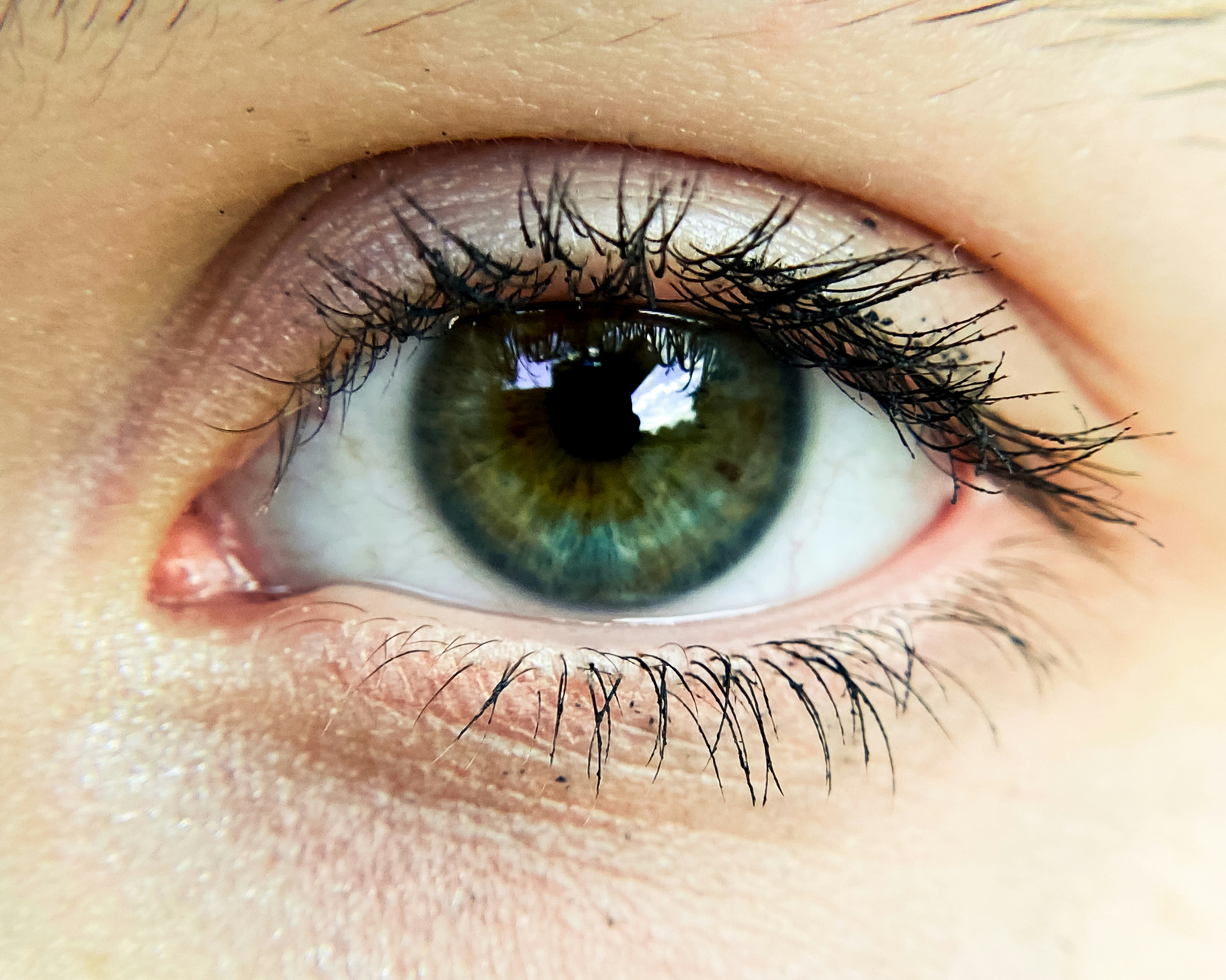 눈에 관련된 사진