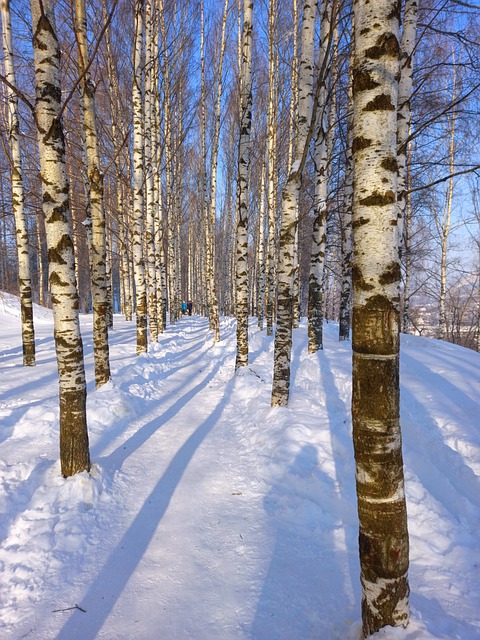 2월 첫째 주일 대표 기도문